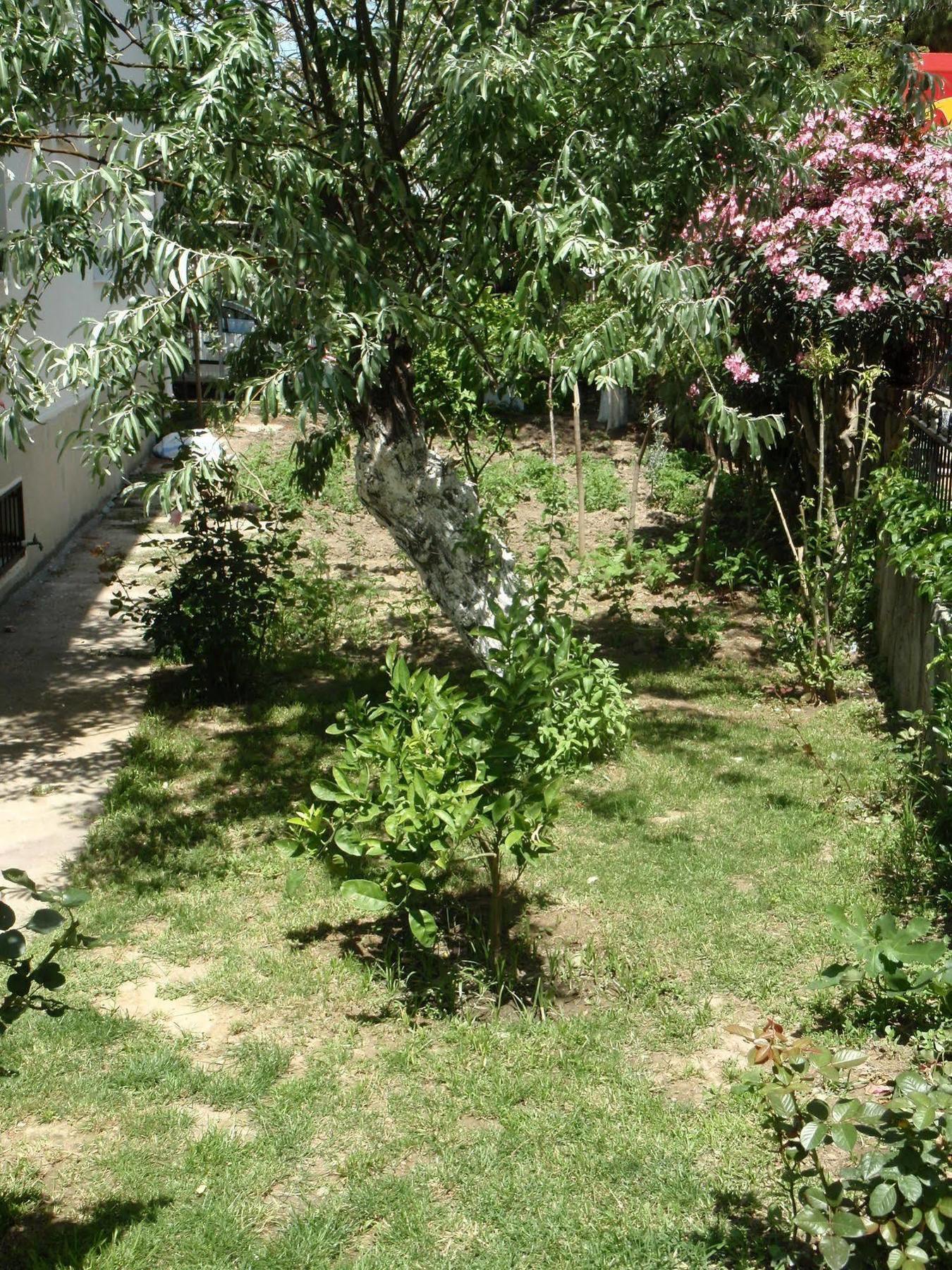Liman Hotel Kusadası Exterior foto